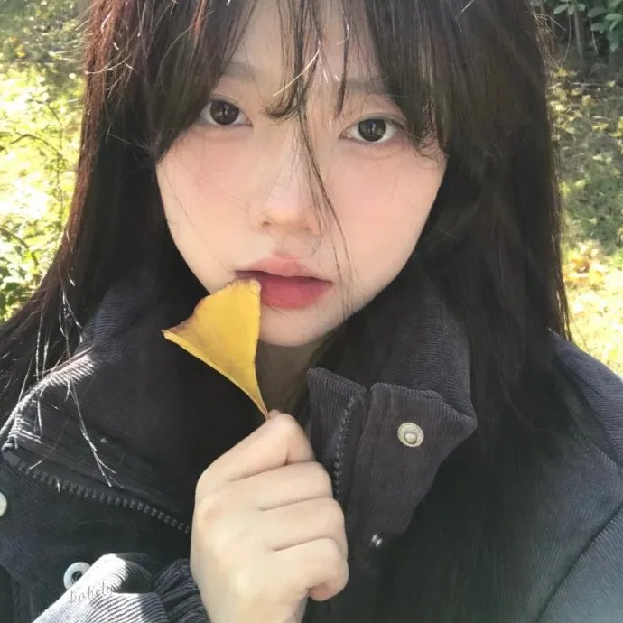 红楼金粉
